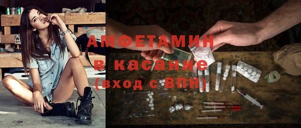 прущие грибы Алзамай