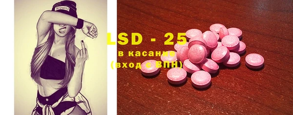 прущие грибы Алзамай